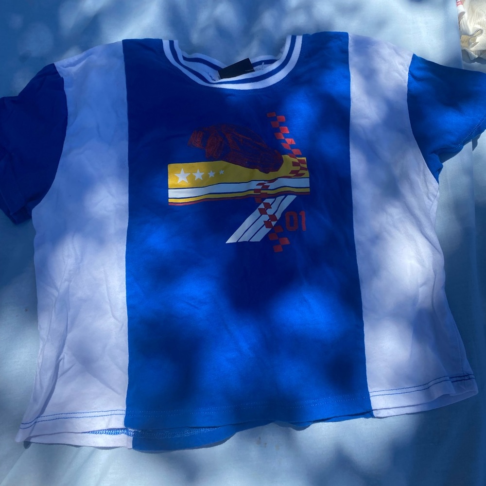Blue and White Graphic Crop Top
